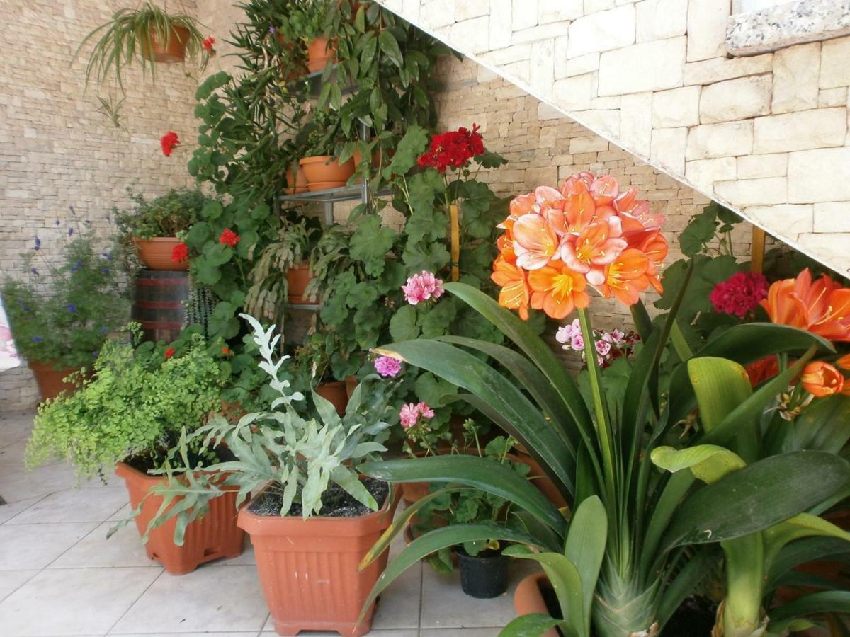 Villa Vrancic โรวีน ภายนอก รูปภาพ