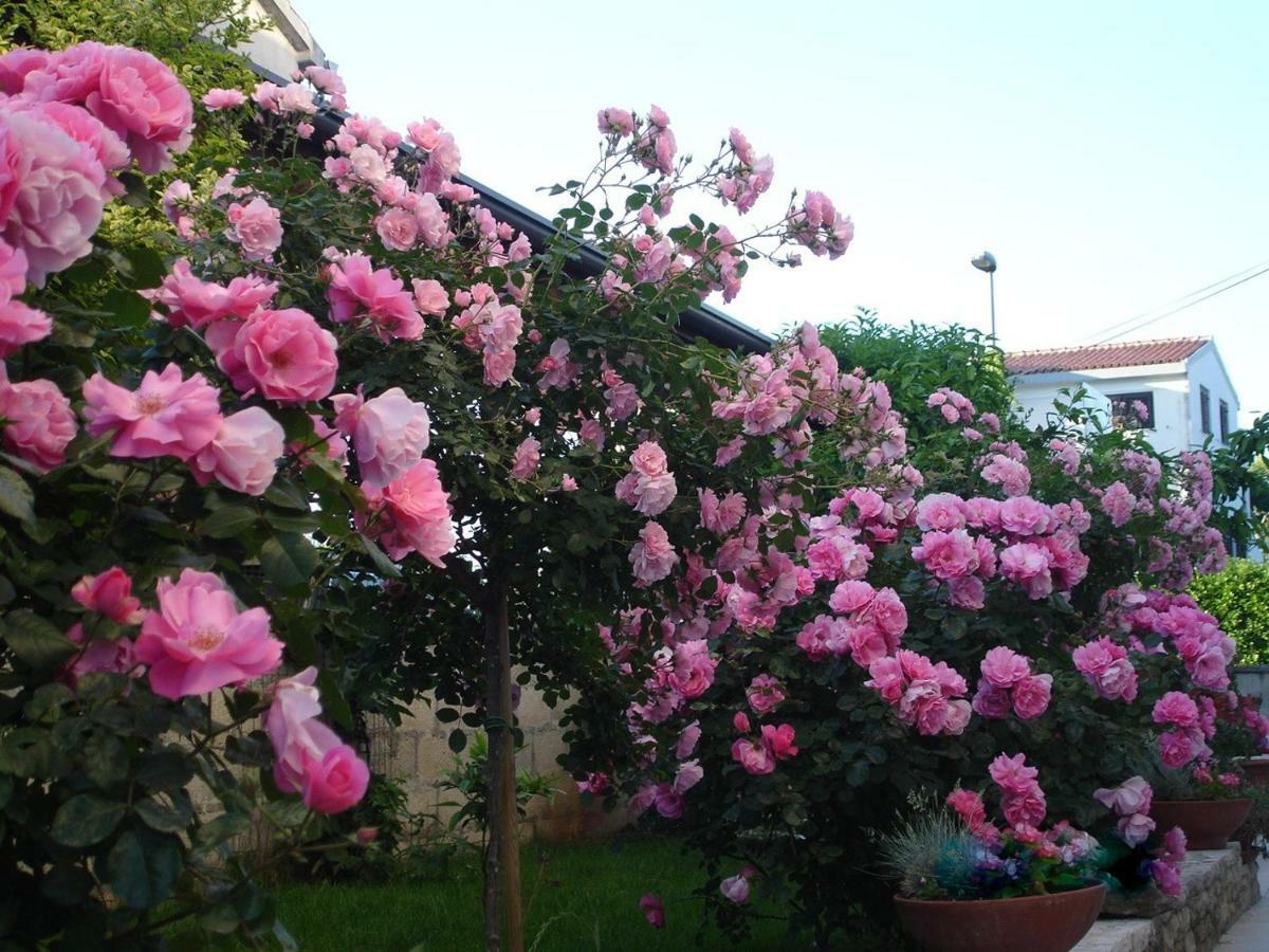 Villa Vrancic โรวีน ภายนอก รูปภาพ