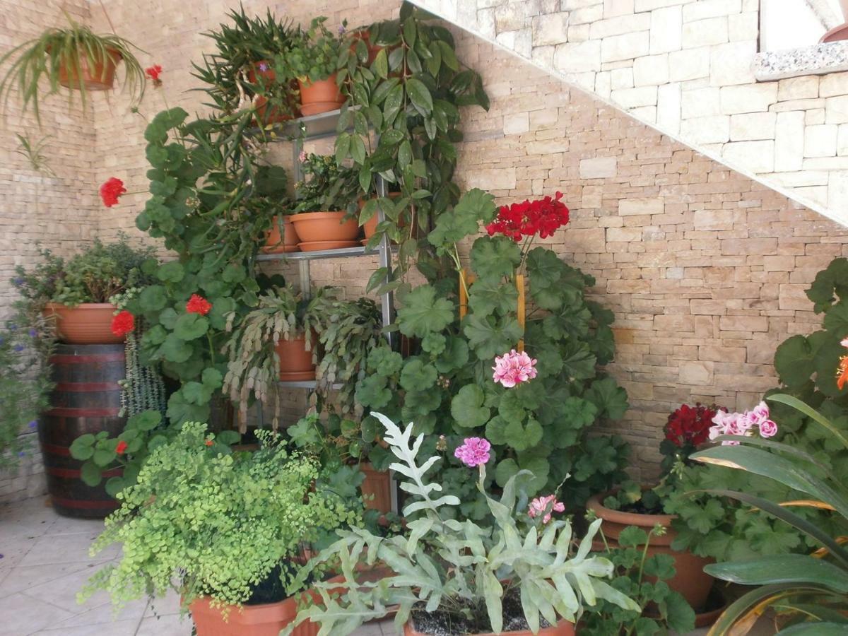 Villa Vrancic โรวีน ภายนอก รูปภาพ