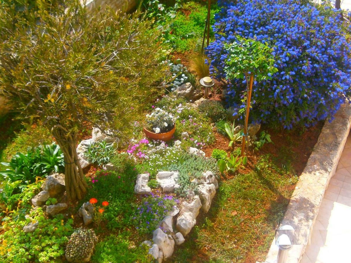 Villa Vrancic โรวีน ภายนอก รูปภาพ